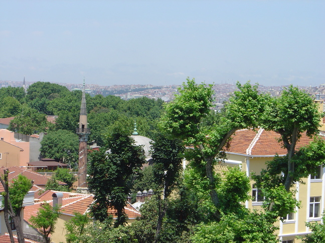 DSC06149